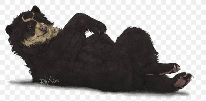 Polar Bear Spectacled Bear Paw Whiskers, PNG, 900x443px, Bear, Black Cat, Breed, Carnivoran, Cartoon Download Free