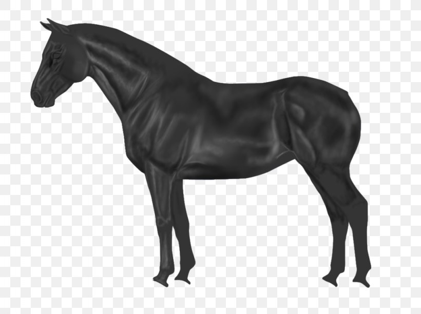 Shar Pei Appaloosa American Paint Horse Stock Photography Breed, PNG, 1024x765px, Shar Pei, American Paint Horse, Appaloosa, Black And White, Breed Download Free