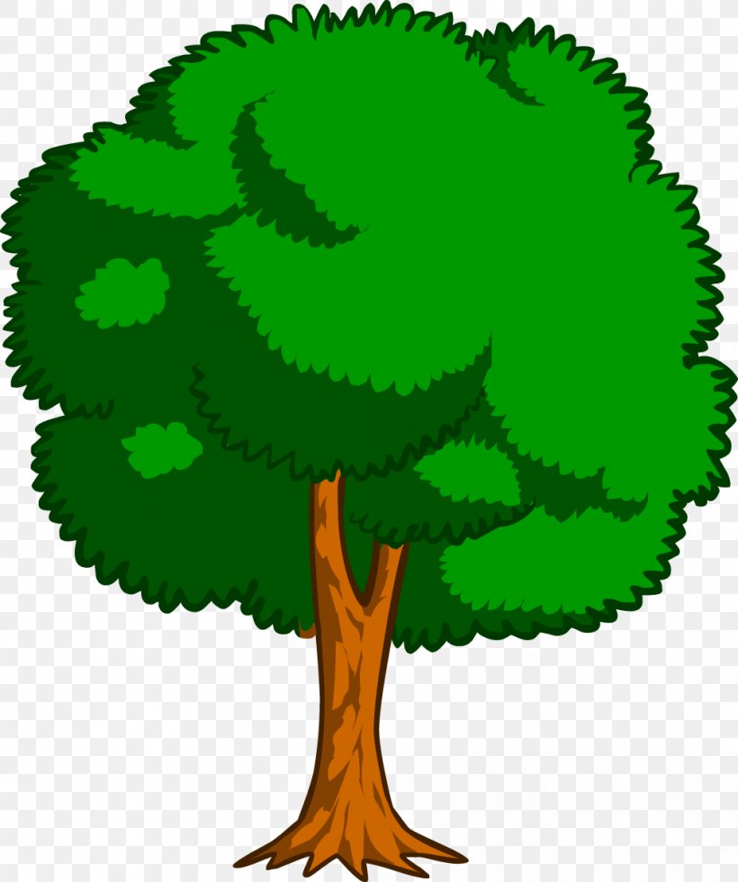 Drawing Trees Cartoon Clip Art, PNG, 1009x1207px, Tree, Branch, Cartoon, Color, Colored Pencil Download Free