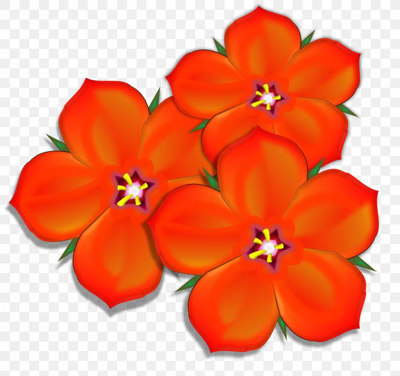 The Scarlet Pimpernel Touch-me-not Clip Art, PNG, 1069x1006px, Scarlet Pimpernel, Anagallis Arvensis, Blog, Cut Flowers, Flower Download Free