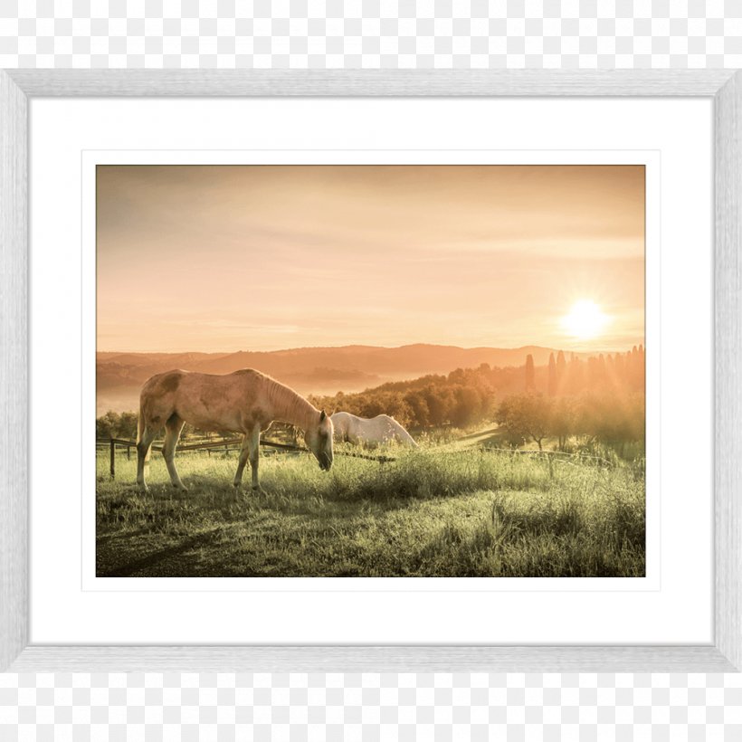 Work Of Art Picture Frames Photography Printmaking, PNG, 1000x1000px, Art, Blue, Cattle Like Mammal, Contemporary Art, Ecoregion Download Free