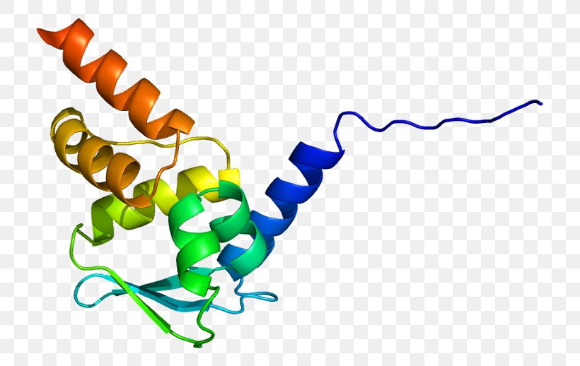 Zinc Finger And BTB Domain-containing Protein 16 BTB/POZ Domain, PNG, 767x518px, Zinc Finger, Acute Promyelocytic Leukemia, Animal Figure, Area, Artwork Download Free