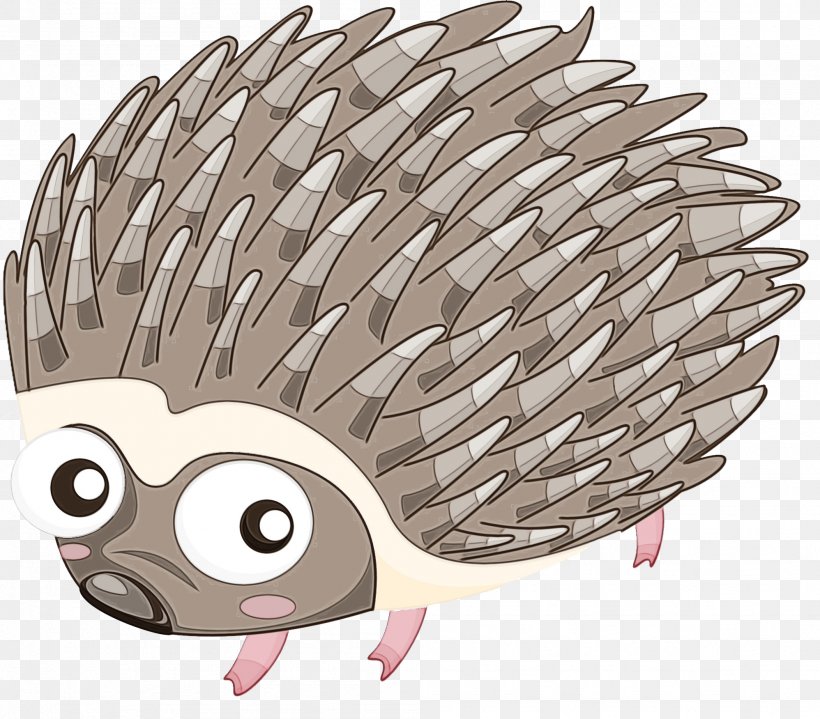 Animal Cartoon, PNG, 1996x1751px, Hedgehog, Animal, Cartoon, Drawing, Echidna Download Free