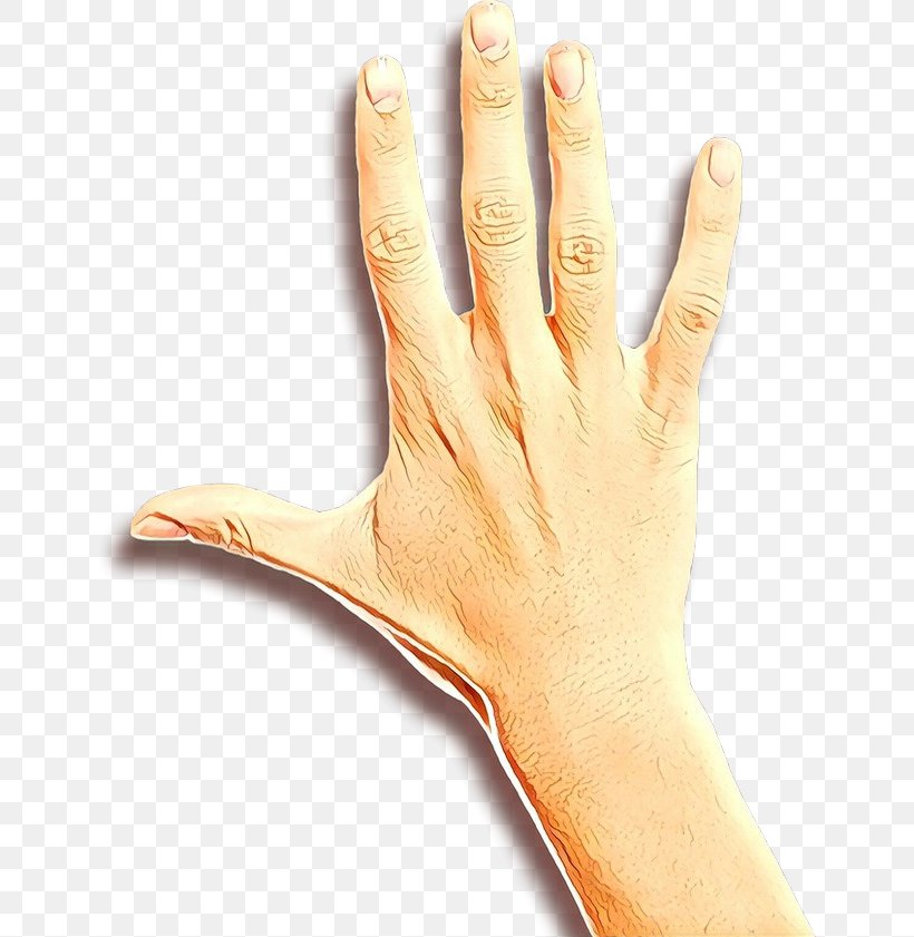 Hand Finger Skin Glove Arm, PNG, 646x841px, Hand, Arm, Finger, Gesture, Glove Download Free