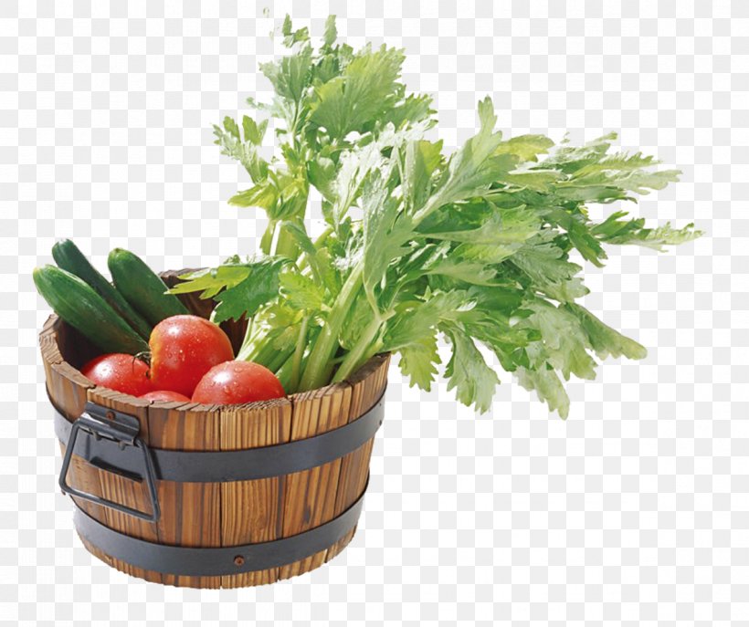 Vegetable Capsicum Annuum Organic Food Starch, PNG, 1184x992px, Vegetable, Capsicum, Capsicum Annuum, Celery, Condiment Download Free