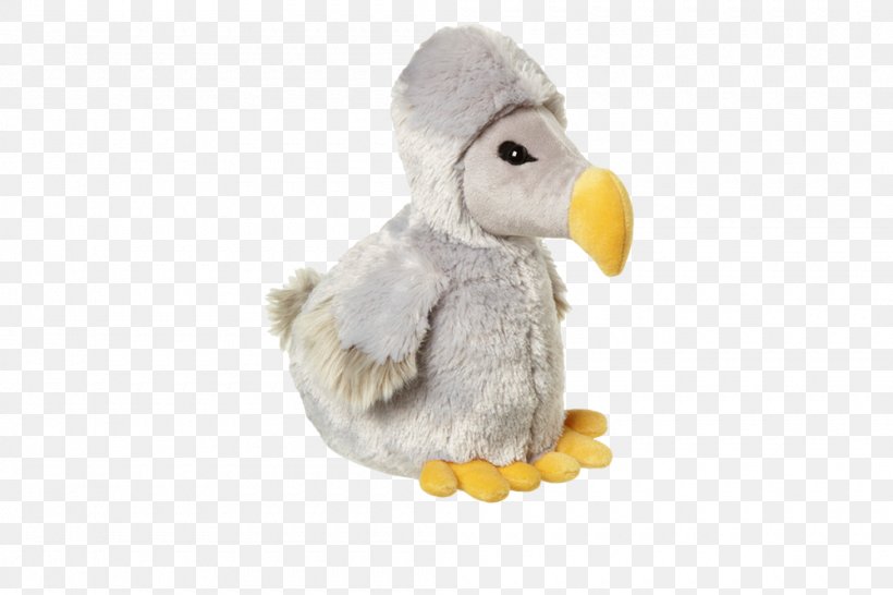 Bird Dodo Stuffed Animals & Cuddly Toys Plush, PNG, 1000x667px, Bird, Beak, Bird Of Prey, Dinosaur, Dodo Download Free