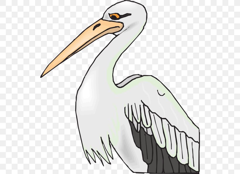 Brown Pelican Bird American White Pelican Coloring Book Clip Art, PNG, 546x595px, Brown Pelican, American White Pelican, Artwork, Beak, Bird Download Free