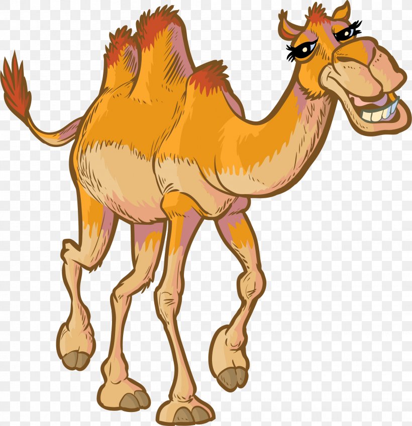 Camel Stock Photography Royalty-free Clip Art, PNG, 2085x2159px, Camel, Animal Figure, Arabian Camel, Camel Like Mammal, Cartoon Download Free