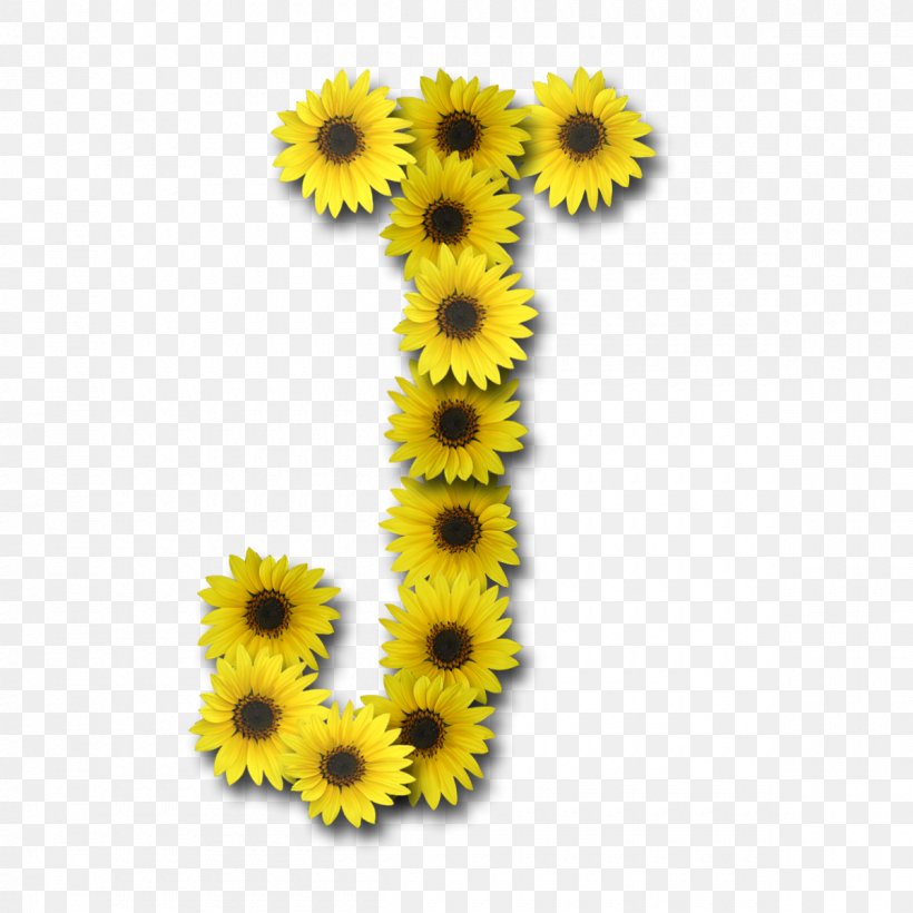 Common Sunflower Letter Alphabet Girasoles J, PNG, 1200x1200px, Common Sunflower, Alphabet, Daisy Family, Digital Data, Enchanted Download Free