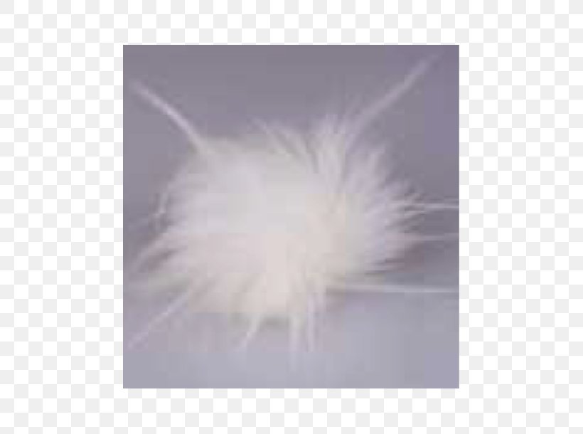 Feather, PNG, 610x610px, Feather, Fur Download Free