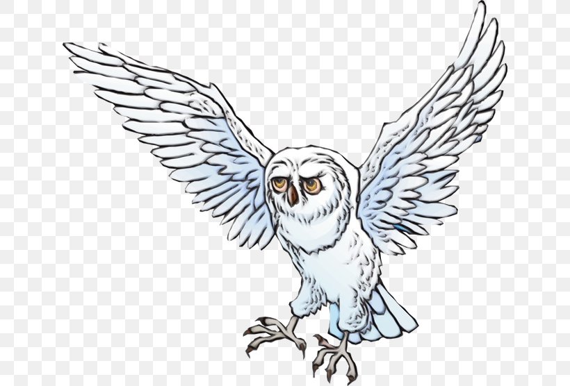 Owl Bird Bird Of Prey Wing Beak, PNG, 640x556px, Watercolor, Beak, Bird, Bird Of Prey, Falconiformes Download Free