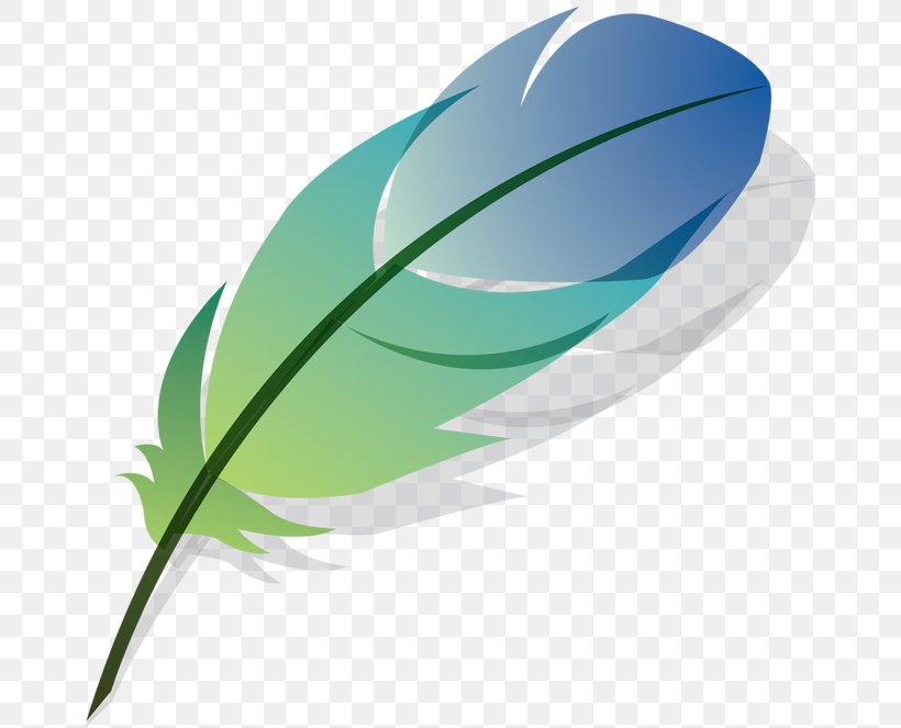 Feather Drawing Verso De Arte Mayor, PNG, 665x663px, Feather, Color, Drawing, Grass, Green Download Free