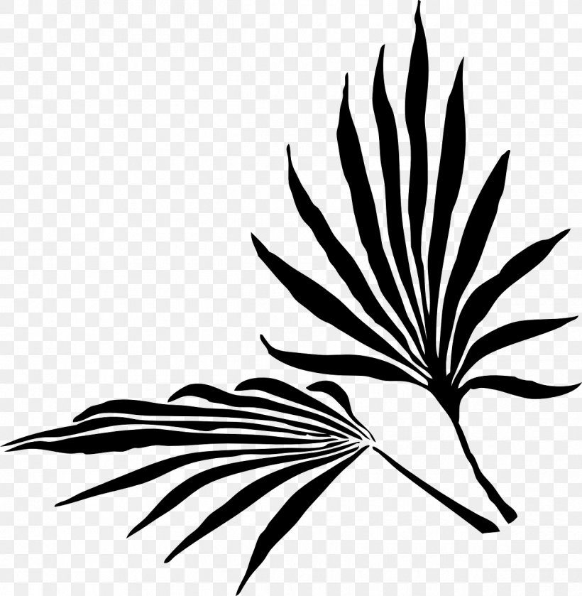 Palm Trees Palm Branch Clip Art Leaf, PNG, 1250x1280px, Palm Trees, Areca Palm, Art, Blackandwhite, Botany Download Free