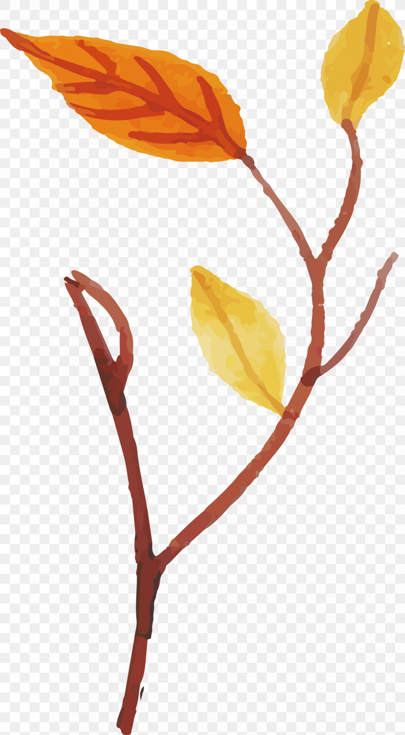 Plant Stem Petal Leaf Cut Flowers Twig, PNG, 1655x3000px, Watercolor Autumn, Biology, Colorful Leaf, Cut Flowers, Flower Download Free