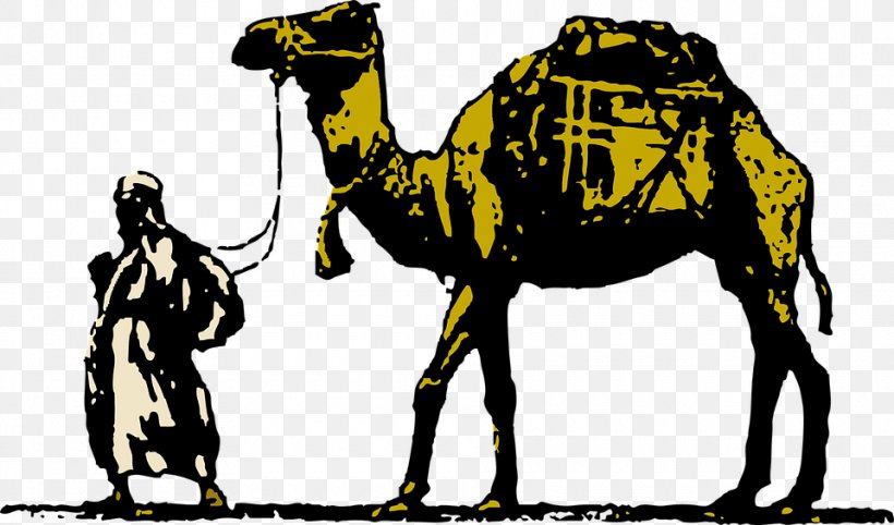 Dromedary Free Content Clip Art, PNG, 960x565px, Dromedary, Arabian Camel, Camel, Camel Like Mammal, Drawing Download Free