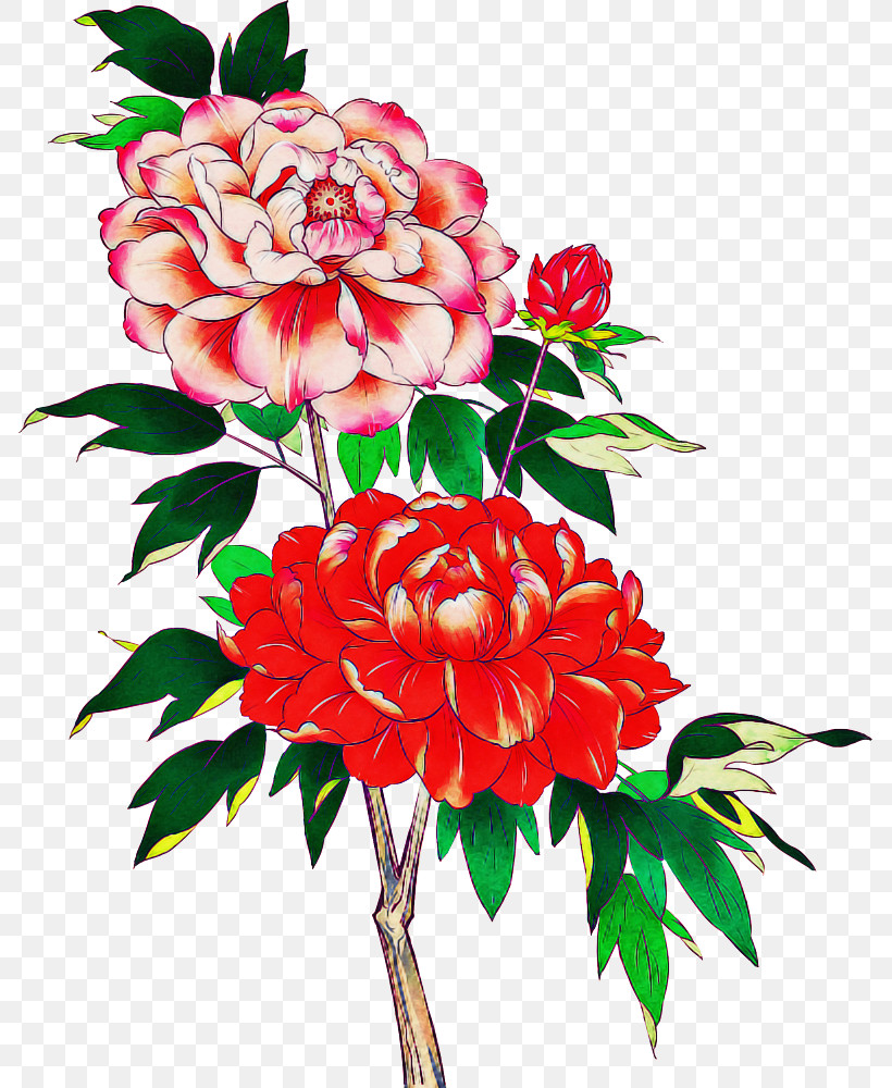 Garden Roses, PNG, 785x1000px, Garden Roses, Artificial Flower, Cabbage Rose, Carnation, Chrysanthemum Download Free