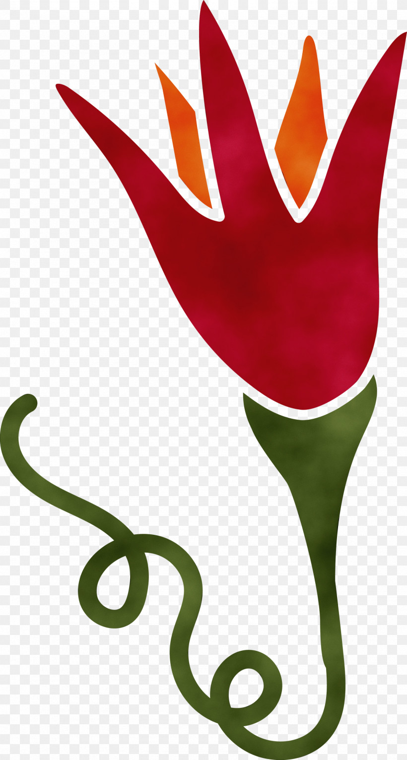 Plant Stem Tulip Leaf Petal Character, PNG, 1605x3000px, Watercolor, Biology, Character, Character Created By, Leaf Download Free