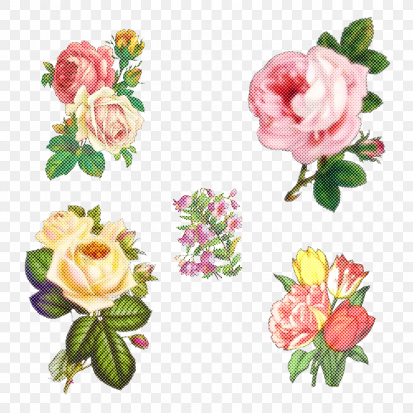 Garden Roses, PNG, 894x894px, Flower, Cut Flowers, Garden Roses, Pink, Plant Download Free