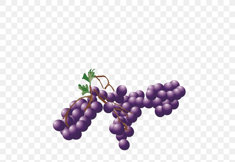 Grape Purple Auglis, PNG, 567x567px, Grape, Auglis, Blue, Flowering Plant, Food Download Free