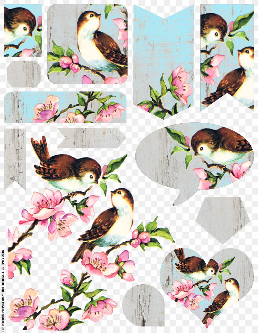 Lovebird Clip Art Bird Nest Domestic Canary, PNG, 2550x3300px, Bird, Beak, Bird Flight, Bird Nest, Bird Of Prey Download Free