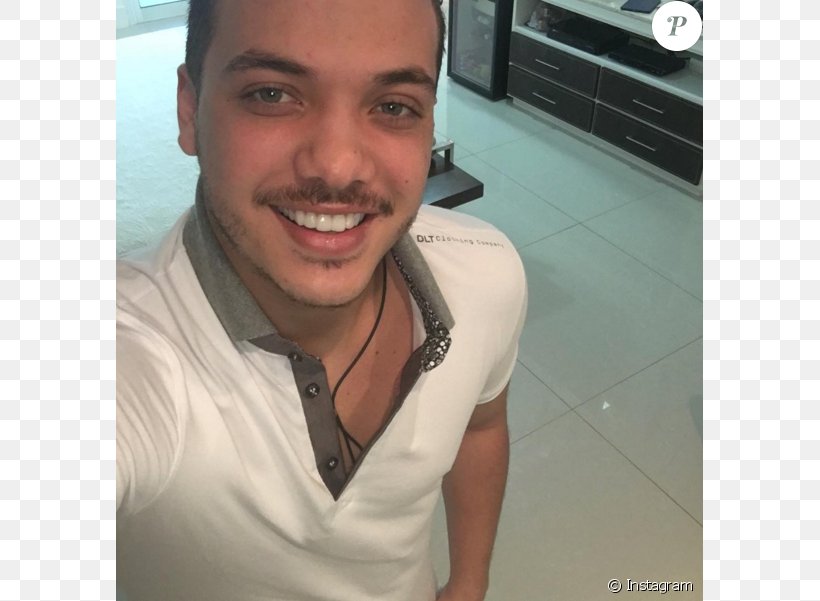 Wesley Safadão Big Brother Brasil 16 Chin Facial Hair, PNG, 675x601px, Big Brother Brasil 16, Big Brother Brasil, Chin, Day, Eyebrow Download Free