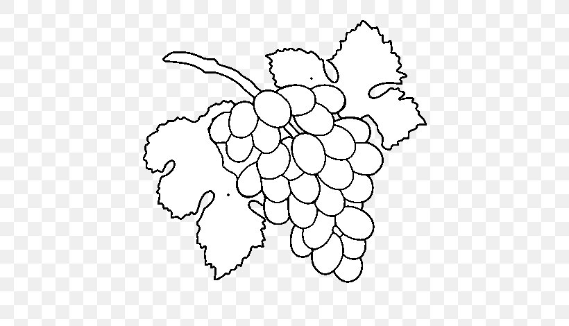 Grape Drawing Raceme Coloring Book Painting, PNG, 600x470px, Grape, Area, Art, Black And White, Branch Download Free
