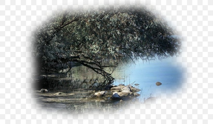 Landscape Painting Image, PNG, 658x478px, Landscape Painting, Art, Blog, Drawing, Landscape Download Free