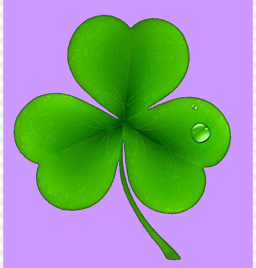 Ireland Saint Patrick's Day National ShamrockFest Public Holiday Clip Art, PNG, 800x860px, Ireland, Clover, Fourleaf Clover, Green, Holiday Download Free