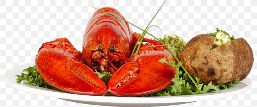 Lobster Dish Shrimp Meat Food, PNG, 800x342px, Lobster, Animal Source Foods, Crab Meat, Decapoda, Dish Download Free