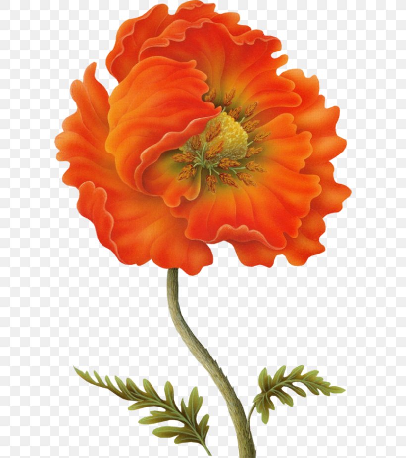 Painting Decoupage Paper Flower Drawing, PNG, 600x925px, Painting, Annual Plant, Art, Calendula, Cut Flowers Download Free