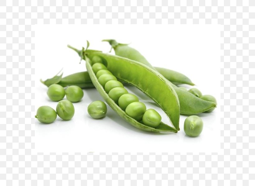 Pea Vegetable Legume Food Plant, PNG, 600x600px, Pea, Bean, Broad Bean, Chives, Commodity Download Free