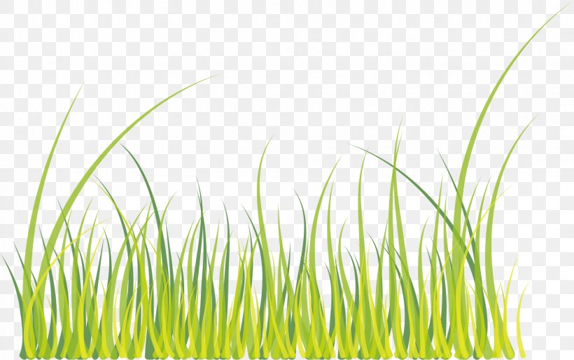 Green Download, PNG, 1646x1032px, Green, Cartoon, Energy, Google Images, Grass Download Free