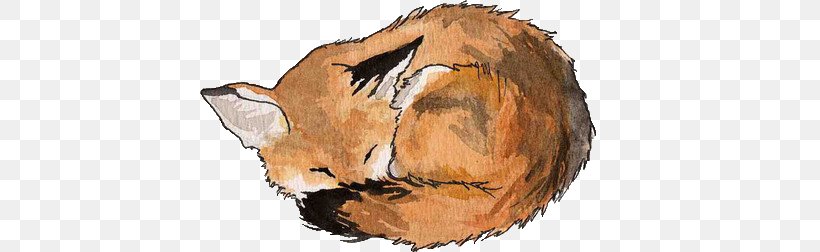 Arctic Fox Drawing, PNG, 500x252px, Fox, Arctic Fox, Art, Big Cats, Carnivoran Download Free