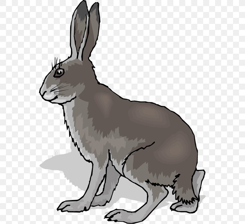 Hare Rabbit Clip Art, PNG, 559x750px, Hare, Animal, Black And White, Cartoon, Chinese Zodiac Download Free