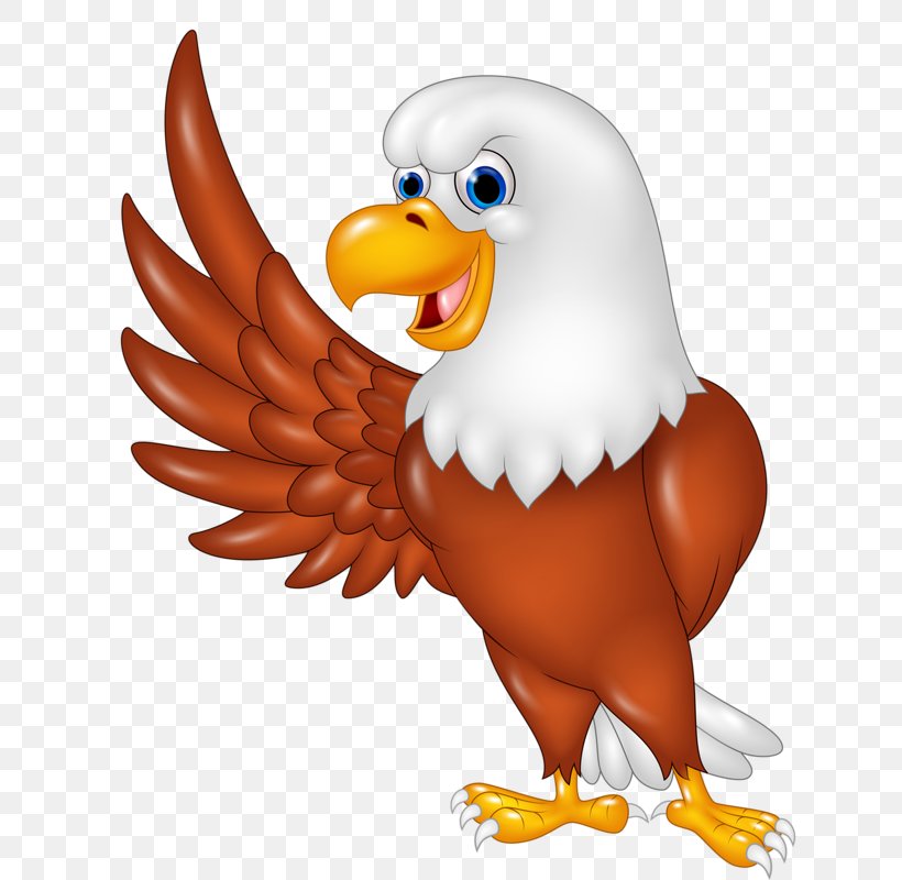 Royalty-free Eagle, PNG, 632x800px, Royaltyfree, Beak, Bird, Bird Of Prey, Cartoon Download Free