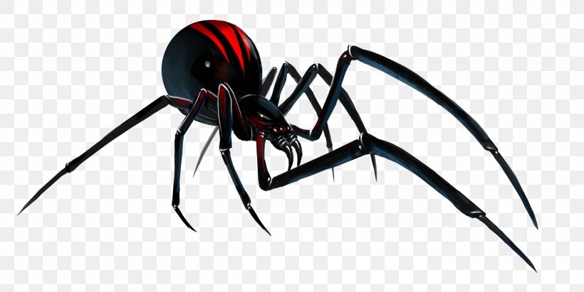 Southern Black Widow Redback Spider Clip Art, PNG, 2509x1258px, Black Widow, Arachnid, Art, Arthropod, Concept Art Download Free