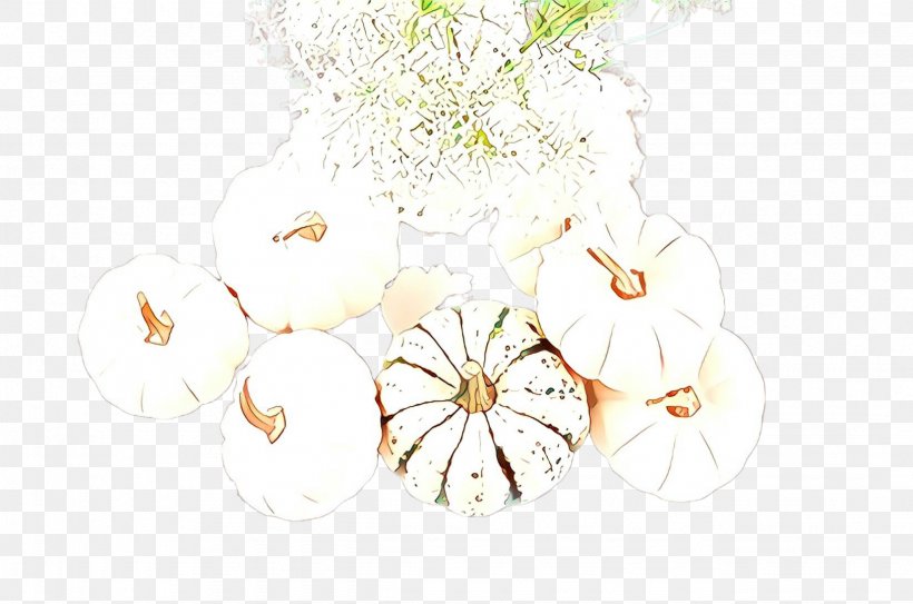 White Plant Flower Branch Wildflower, PNG, 2455x1628px, White, Blossom, Branch, Flower, Plant Download Free
