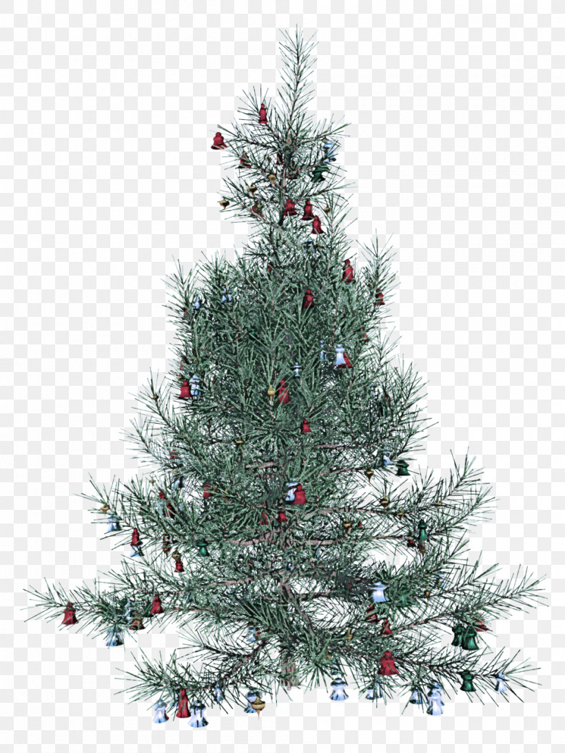 Christmas Tree, PNG, 1000x1333px, Christmas Tree, American Larch, Arizona Cypress, Balsam Fir, Branch Download Free