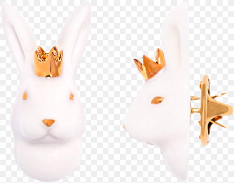 Domestic Rabbit Hare Ear, PNG, 879x689px, Domestic Rabbit, Ear, Hare, Orange, Rabbit Download Free