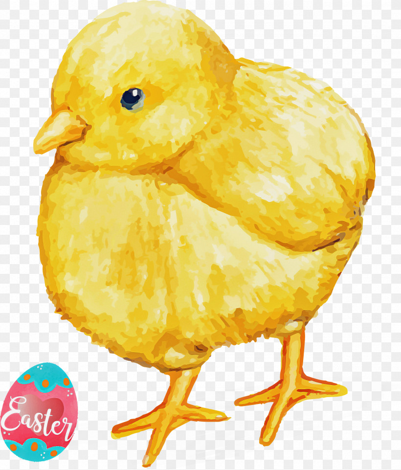 Easter Day Easter Sunday Happy Easter, PNG, 2558x3000px, Easter Day, Atlantic Canary, Beak, Bird, Chicken Download Free