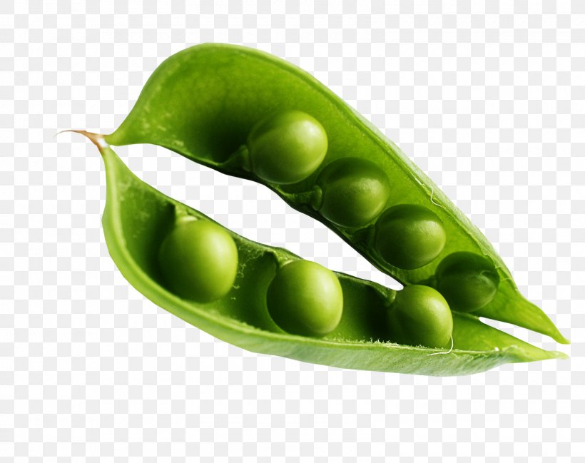 Pea Edamame Vegetarian Cuisine Lima Bean Consumer Food Costs: Measuring The Food Dollar, PNG, 1600x1268px, Pea, Bean, Broad Bean, Commodity, Diet Download Free