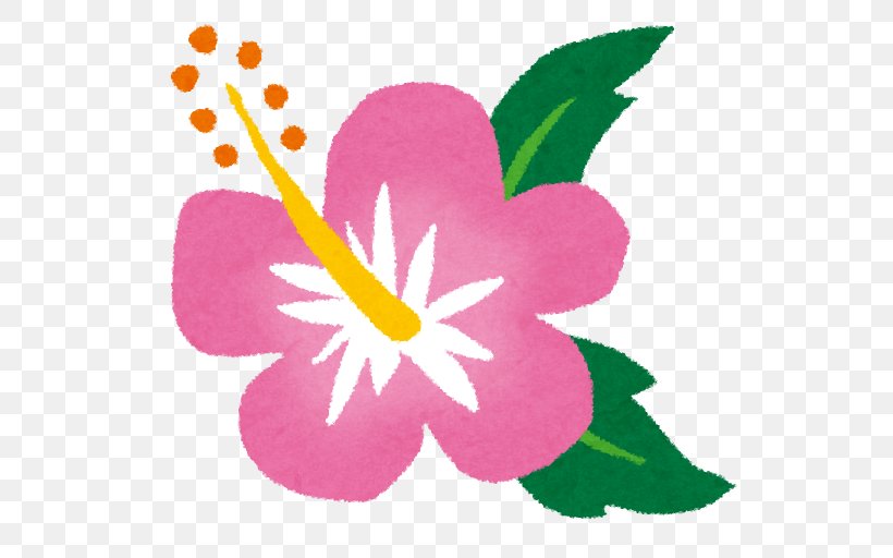 ハイビスカス Roselle Urasoe School Meal ＫＴＰキッズイングリッシュクラブ, PNG, 572x512px, Roselle, Cooking, Flora, Flower, Flowering Plant Download Free
