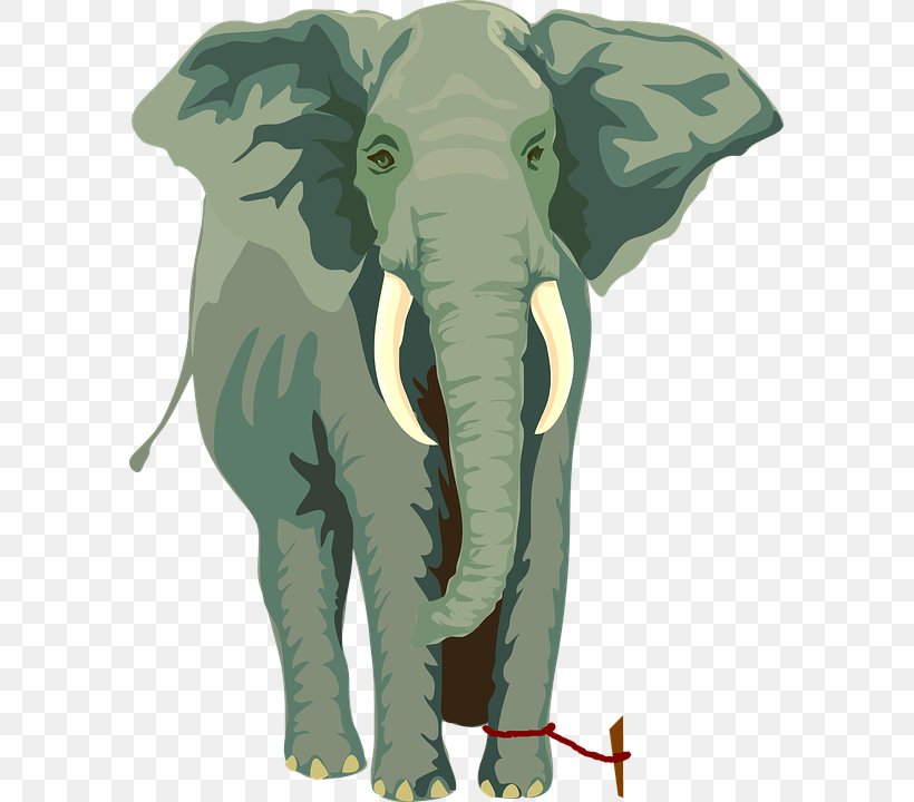 African Elephant Asian Elephant Rope The Elephants, PNG, 587x720px, Elephant, African Elephant, Animal, Asian Elephant, Cattle Like Mammal Download Free
