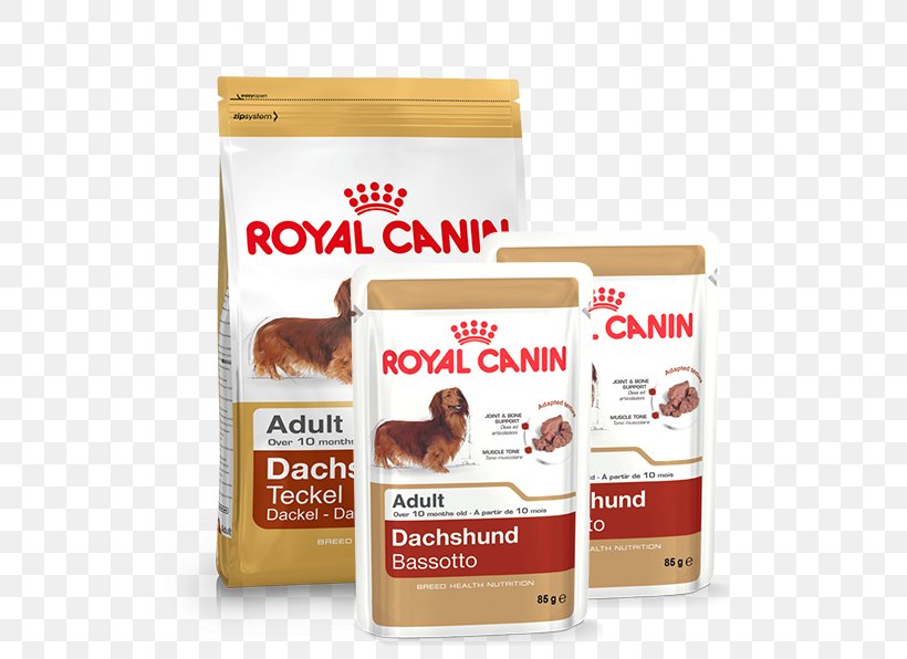English Cocker Spaniel Labrador Retriever Cat Dog Food Royal Canin, PNG, 596x596px, English Cocker Spaniel, Cat, Cat Food, Dog, Dog Breed Download Free