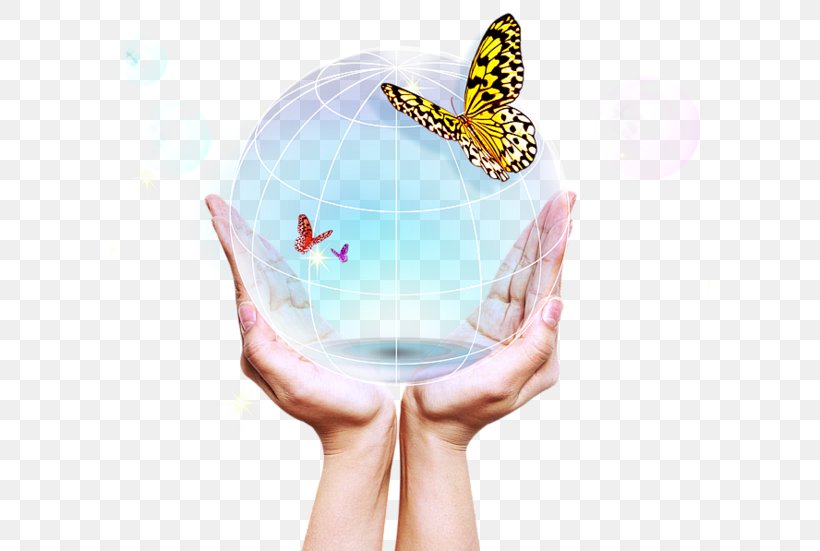 Icon, PNG, 600x551px, Natural Environment, Butterfly, Environmental Protection, Finger, Flower Download Free