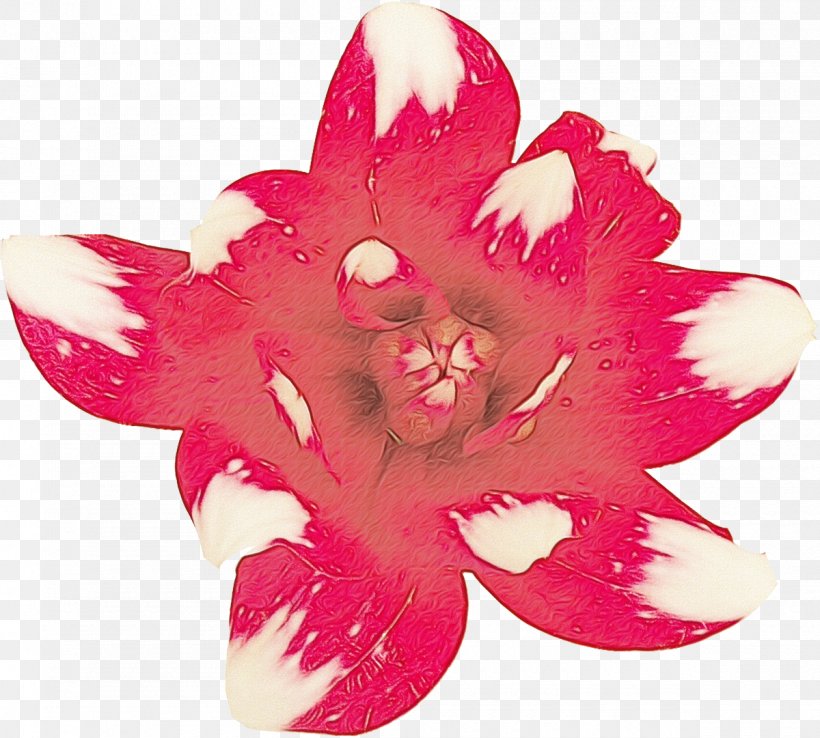 Pink Petal Flower Plant Magenta, PNG, 1200x1081px, Watercolor, Cut Flowers, Flower, Flowering Plant, Herbaceous Plant Download Free