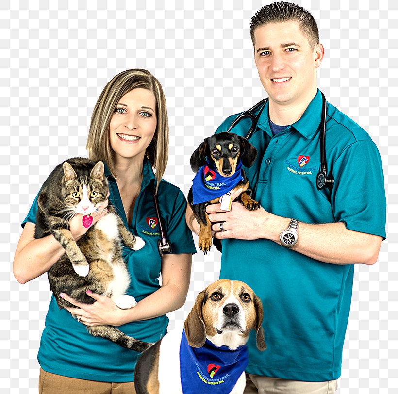 Puppy Susquehanna Trail Animal Hospital Veterinarian Pet Ray Tritch, PNG, 800x812px, Puppy, Companion Dog, Dog, Dog Breed, Dog Like Mammal Download Free