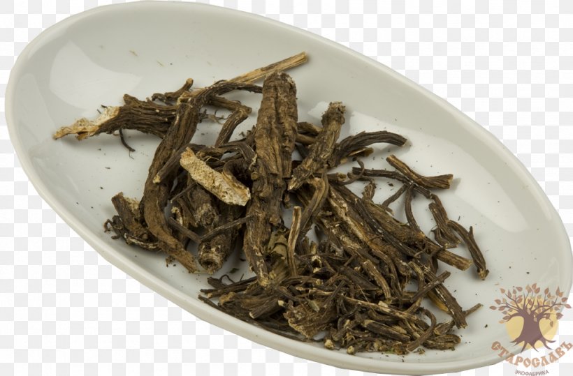 Root Greater Burdock Leaf Plant Price, PNG, 1024x674px, Root, Artikel, Assam Tea, Bai Mudan, Baihao Yinzhen Download Free