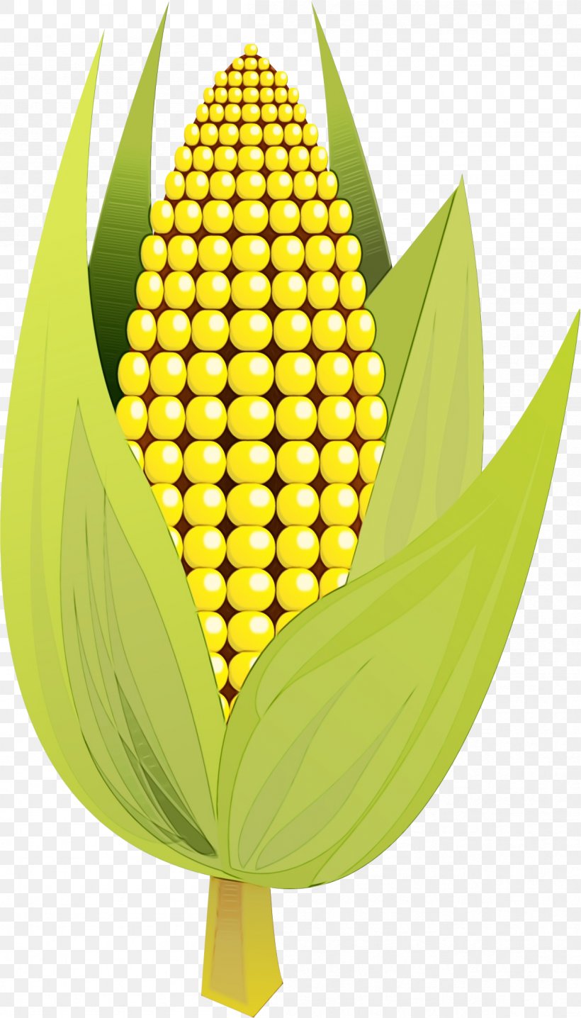 Watercolor Flower Background, PNG, 1204x2109px, Watercolor, Baby Corn, Cereal, Corn, Corn Kernel Download Free