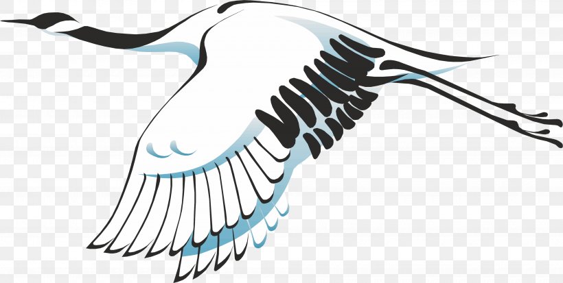 Bird Grus Great Herons Clip Art, PNG, 4000x2016px, Bird, Animal, Artwork, Beak, Egret Download Free